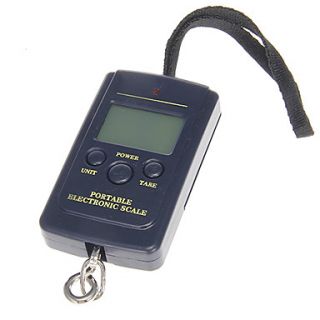 Portable Temperature Display Electronic Fishhook Hanging Digital Scale (40kg / 10g / 2 x AAA)