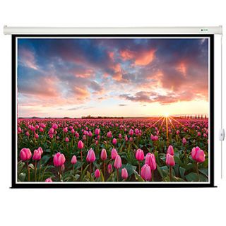 Greenleaf 75 Inch 43 Bead Curtain Motorized Electric Projection Screen