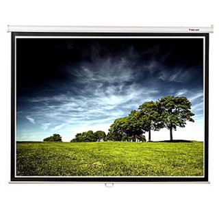 Readleaf 43 84 Inch Manual Leaves Curtain Wall and Glass Bead Projection Screen