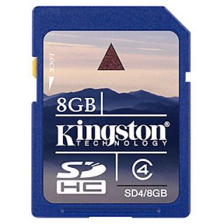 8GB Kingston SDHC Memory Card