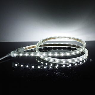 Waterproof 10W/M 5050 SMD White Light LED Strip Lamp (220V, Length Selectable)