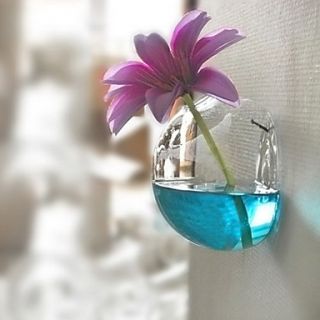 Hanging Glass Vase