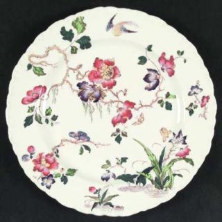 Wedgwood Swallow (No Trim) Dinner Plate, Fine China Dinnerware   Shell Edge, Flo