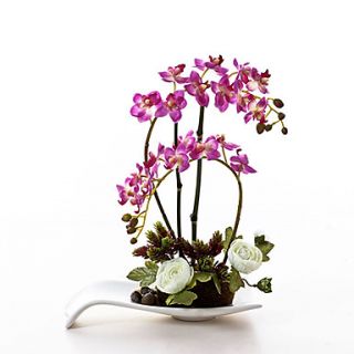 15H Orchid in Ceramic Vase 2 Colours Available