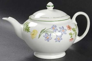 Johnson Brothers Wild Flowers Teapot & Lid, Fine China Dinnerware   Different Fl