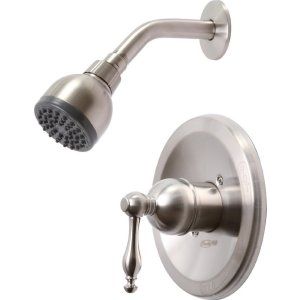 Premier Faucets 119277 Wellington Single Handle Shower Faucet