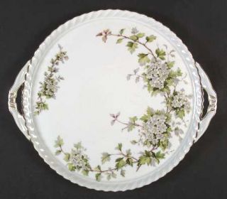 Franconia   Krautheim Hawthorn Handled Cake Plate, Fine China Dinnerware   White