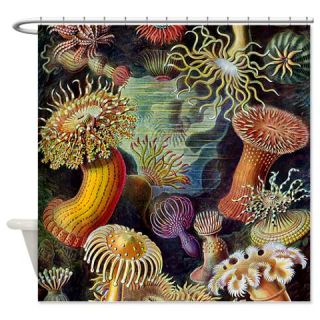  Ernst Haeckel Sea Anemones Shower Curtain  Use code FREECART at Checkout