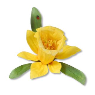 Sizzix Thinlits Flower/ Daffodil Die Set By Susan Tierney cockburn (12 Pack)