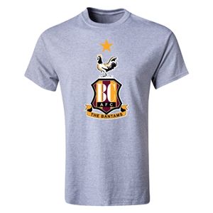 hidden Bradford City Crest T Shirt (Gray)