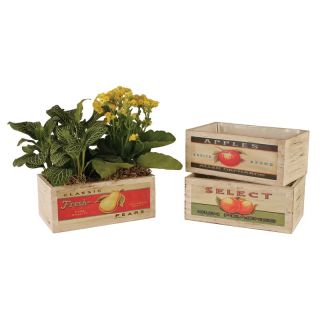 Wald Imports Double 4 in. Wood Planter   Assorted   Set of 3 Multicolor  