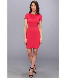 Bailey 44 Playset Dress Womens Dress (Pink)