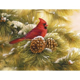 Boxed Christmas Card   December Dawn Cardinal