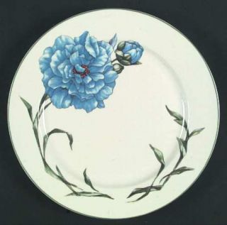 Retroneu Rhapsody Dinner Plate, Fine China Dinnerware   Multimotif Floral,Rim,Gr