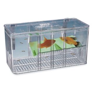 Five Plus Breeder & Nursery Fish Tank Multicolor   BT5