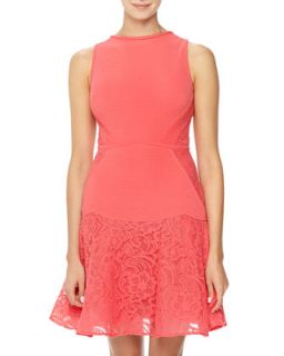Pintuck Ponte/Lace Combo Dress, Island Coral