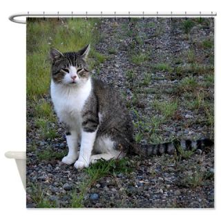  Purr fectly Posed Shower Curtain  Use code FREECART at Checkout