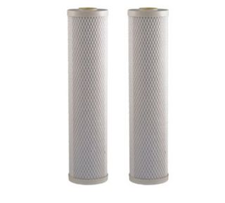 Dormont Replacement Filter Pack for Cold Bev Max S2BBL w/ (2) 20 in Slimline