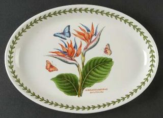 Portmeirion Exotic Botanic Garden 10 Oval Serving Platter, Fine China Dinnerwar