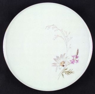 Heinrich   H&C Meadow Flowers Dinner Plate, Fine China Dinnerware   Daisy&Pink F