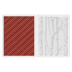 Sizzix Texture Fades A2 Embossing Folders 2/pkg  Birch Trees and Candy Stripes By Tim Holtz