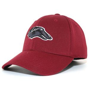 Southern Illinois Salukis Top of the World NCAA PC Cap