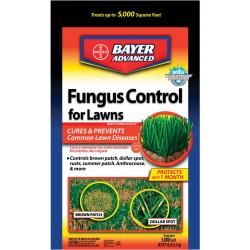 Bayer Advanced Fungus Control For Lawns (10 pound)