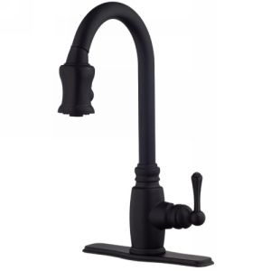 Danze D454557BS Opulence Single Handle Pull Down Kitchen Faucet