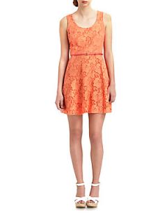 Belted Lace Dress   Apricot
