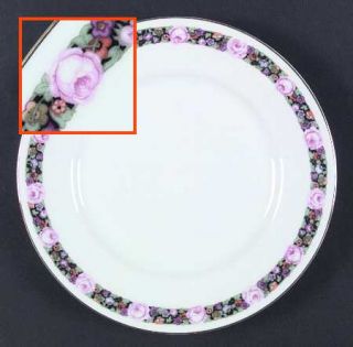 Thomas Rochester Dinner Plate, Fine China Dinnerware   Floral Band, Gold Trim, S