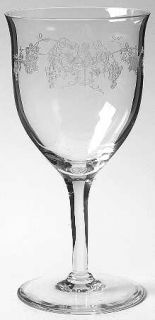 Fostoria Vintage (Etched) Water Goblet   Stem #858, Etch #204