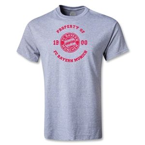 hidden Bayern Munich Distressed Property T Shirt (Gray)